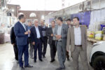 خواسته های تعاون روستایی اهواز از معاون وزیر جهاد کشاورزی چه بود